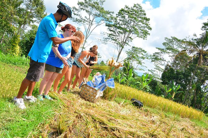 Bali Countryside Cycling Tours - Pakudui Village and its wood-art stop