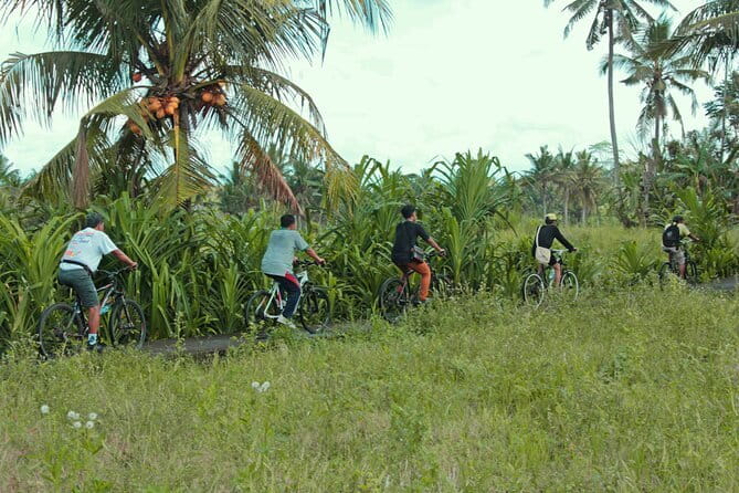 Bali Countryside Eco Cycling Tour include Lunch - Key points to know before booking