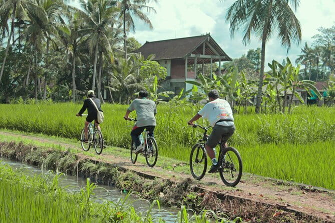Bali Countryside Eco Cycling Tour include Lunch - Leaving Seminyak for Bali’s farm roads