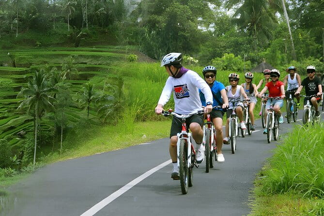 Bali Countryside Eco Cycling Tour include Lunch - Should you book the Bali Countryside Eco Cycling Tour?