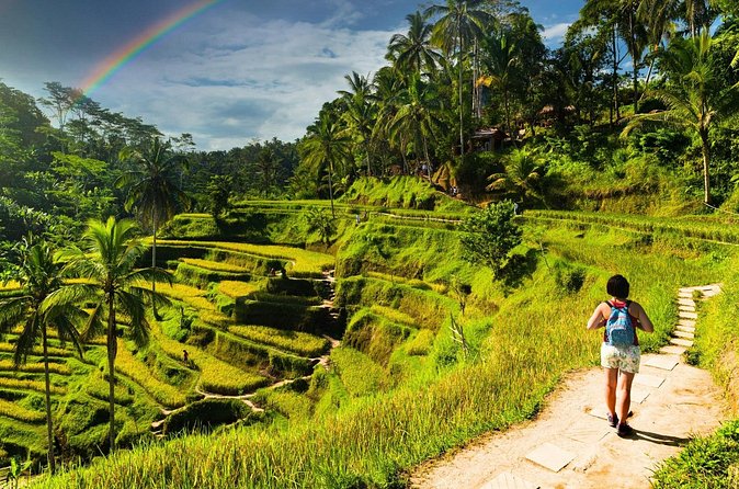 Bali Cultural Experience - Timing, comfort, and the private vehicle