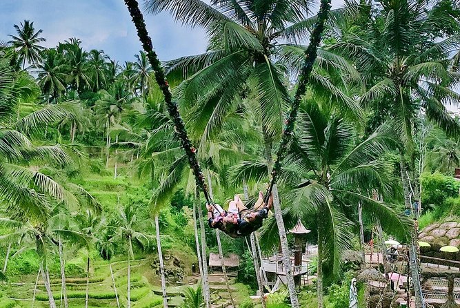 Bali Culture and Choose Your Bali Tour Route in Bali with Bali driver-Free WIFI - Ubud: monkeys, art, rice terraces, and holy water