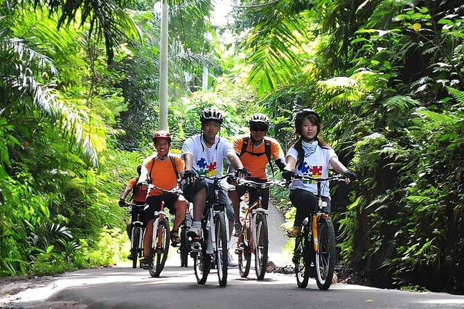 Bali Cycling and Ubud Waterfall Tour - Kintamani and Lake Batur set the morning tone