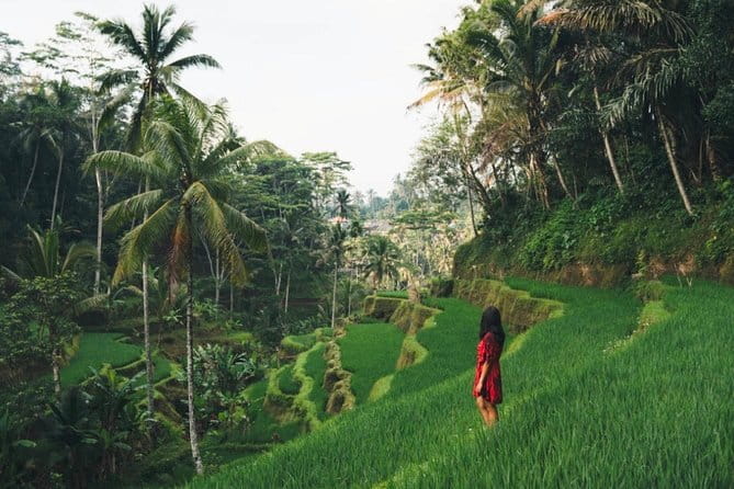 Bali day trip : Batur Sunrise Hike and Hot Spring All inclusive - Guides who make the long day easier