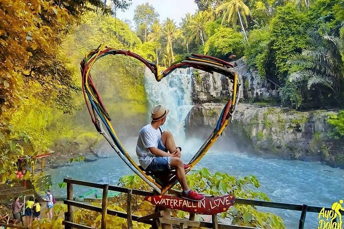 Bali Day Trip to Ubud Highlight Tour and Tanah Lot Temple - The private car and included extras
