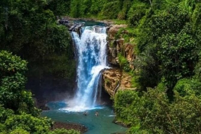 Bali Day Trip to Ubud Highlight Tour and Tanah Lot Temple - Who will get the most from this tour