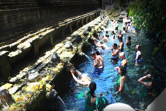 Bali Day Trip: Ubud Temples & Hidden Waterfalls - Tegalalang Rice Terrace closes with Bali’s classic view
