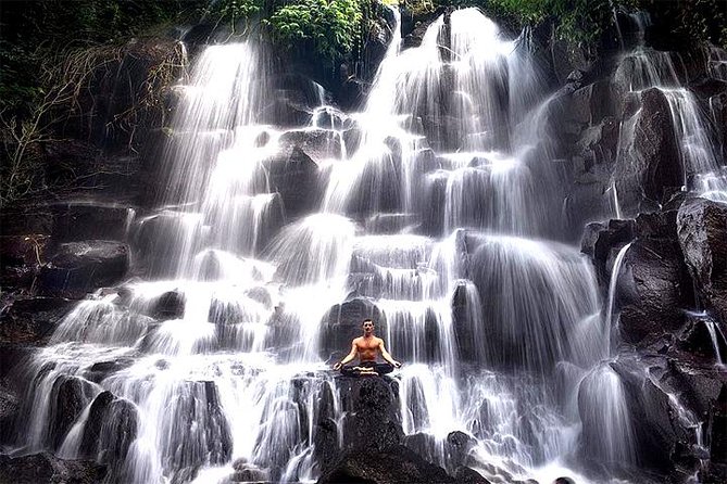Bali Day Trip: Ubud Temples & Hidden Waterfalls - Is $39 a good value?