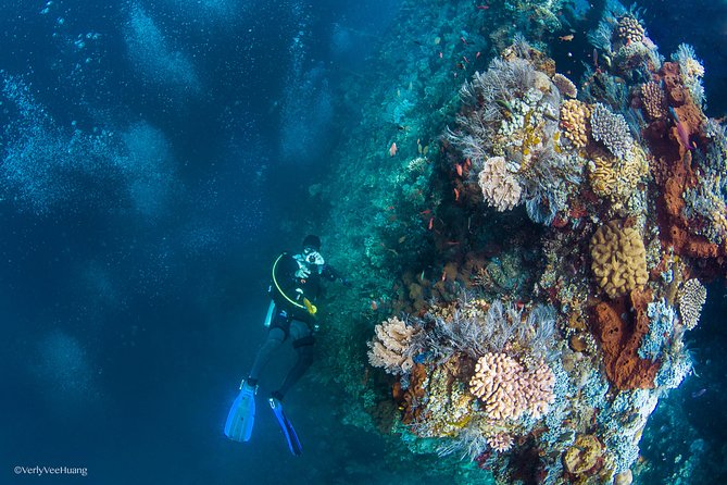 Bali Diving Day Trip-Manta Point/Tulamben Shipwreck-Fun Dive - The early pickup and Sanur check-in