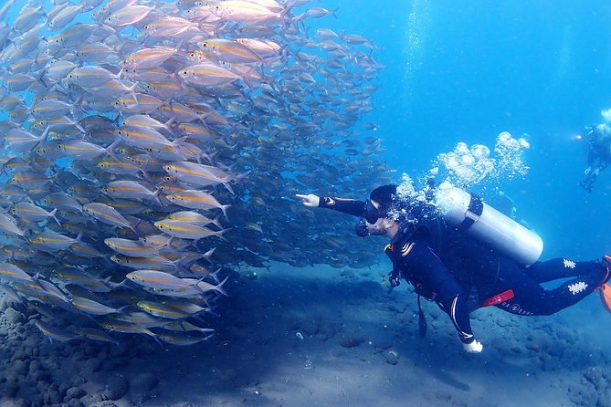 Bali Diving for Beginners: Tulamben Liberty Wreck - Coral Garden or Drop Off: Your First Underwater View
