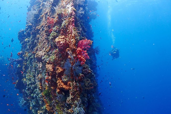 Bali Diving for Beginners: Tulamben Liberty Wreck - Meeting the USAT Liberty Wreck