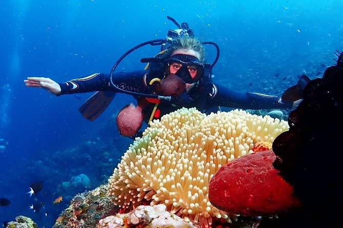 Bali Diving for Beginners: Tulamben Liberty Wreck - Who Will Enjoy This Most