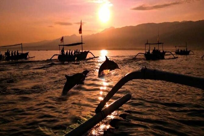 Bali Dolphin Lovina tour and Ulundanu Beratan - The 2 p.m. return to your hotel