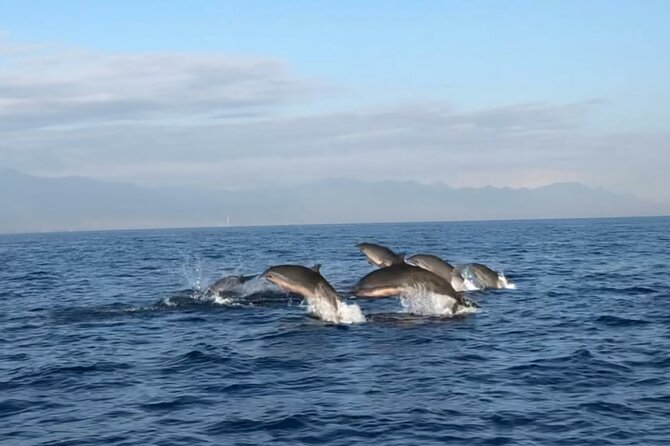 Bali Dolphin Lovina tour and Ulundanu Beratan - The 3:30 a.m. pickup from Kuta