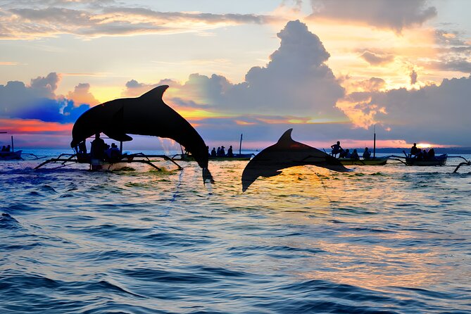 Bali Dolphin Watching Sunrise Tour in Lovina Beach - Tamblingan and Buyan Lakes in the mountain air