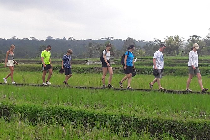 Bali Eco & Educational Cycling Tour - Downhill through villages and rice paddies