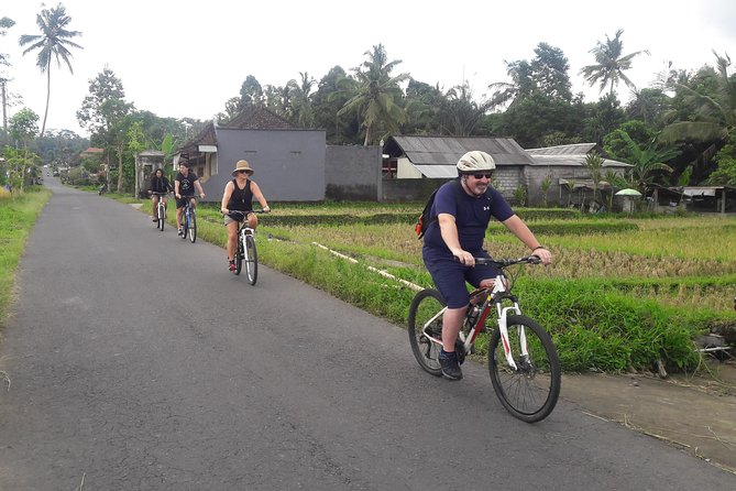 Bali Eco & Educational Cycling Tour - Lunch, snacks, and a coffee break