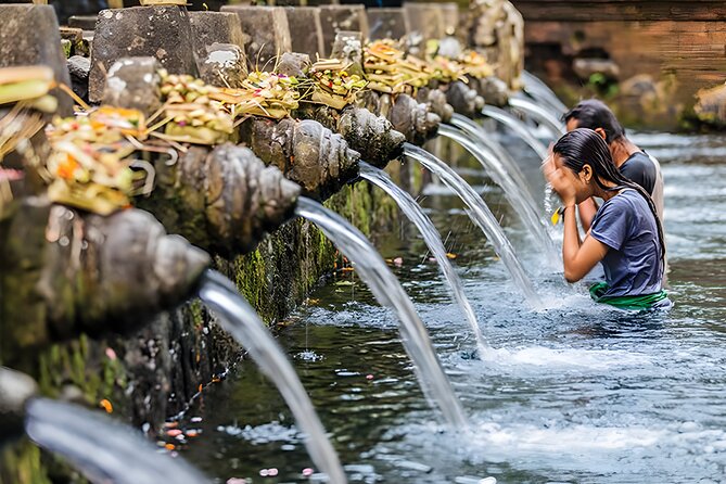 Bali Full-Day Car Charter: Ubud and Kintamani Volcano Trip - What the $40 price really covers