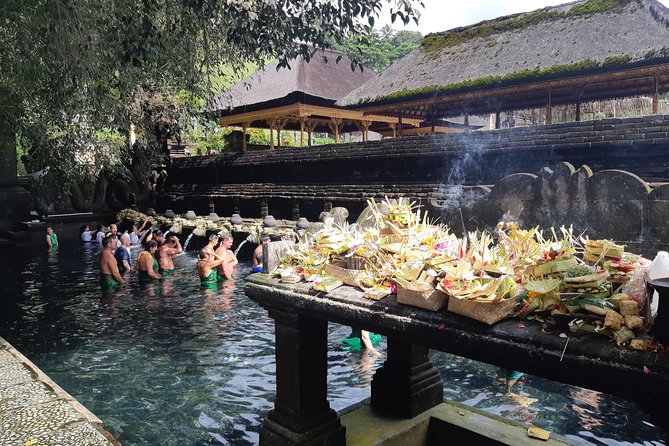 Bali Full Day Holy Water Tour - Tegenungan Waterfall: begin with water and movement