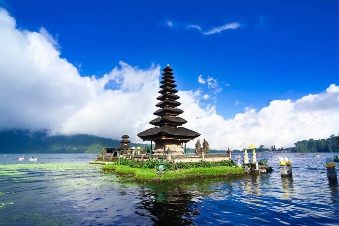 Bali Full-Day Private Customize Tour - Tegalalang shows Bali’s working rice terraces