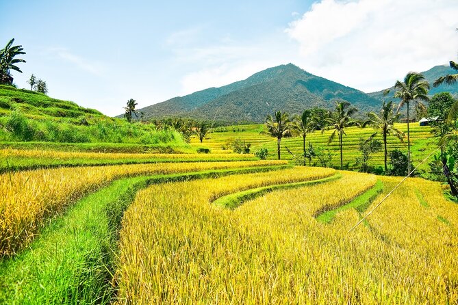 Bali Full-Day Private Customize Tour - Uluwatu Temple begins the cultural side