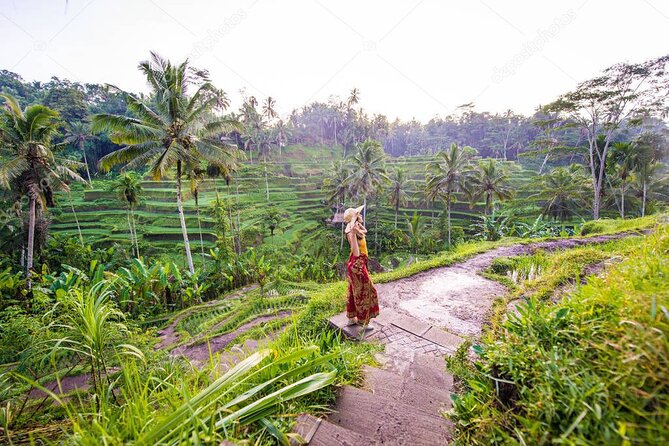 Bali Full-Day Sightseeing Trip with Lunch - Key Points Before You Book