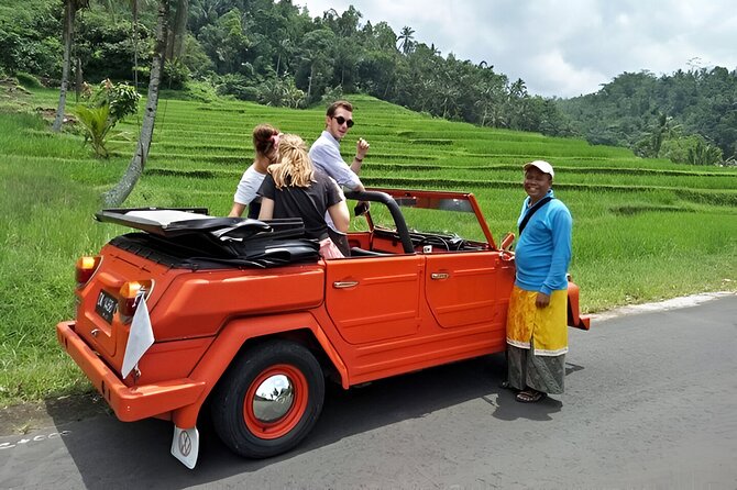 Bali Full-Day The Gate of Heaven Tour by VW Safari Classic Car - Who will enjoy this tour most