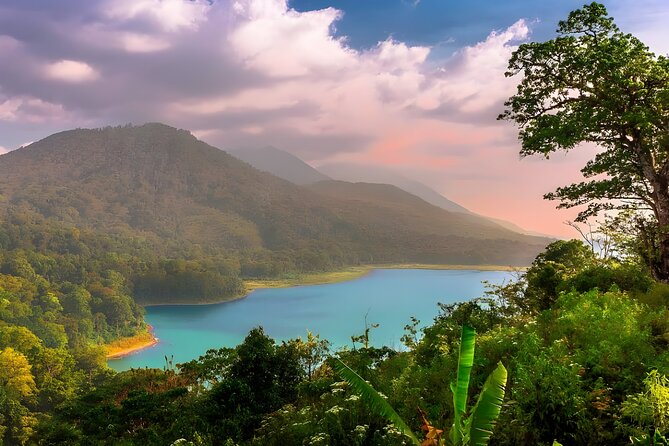 Bali Full-Day Tour: Exploring Instagrammable Place in North Bali - Wanagiri Hidden Hills, made for the camera