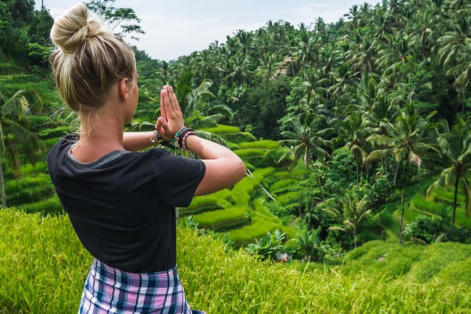 Bali Full Day Tour: Highlights of Ubud and Hidden Waterfall - Why this private Ubud route works