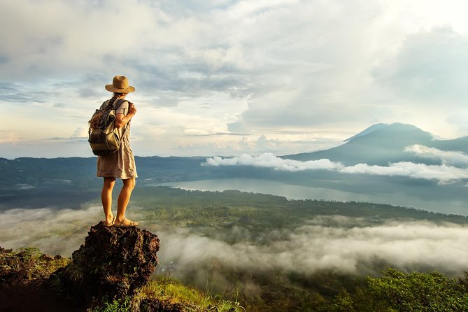 Bali Full Day Tour: Highlights of Ubud and Hidden Waterfall - What $89 includes, and when it feels fair