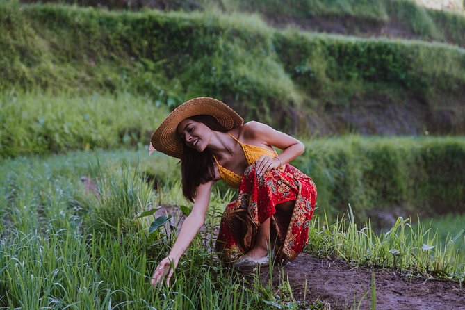 Bali Full Day Tour: Highlights of Ubud and Hidden Waterfall - Sacred Monkey Forest: an active start in Ubud