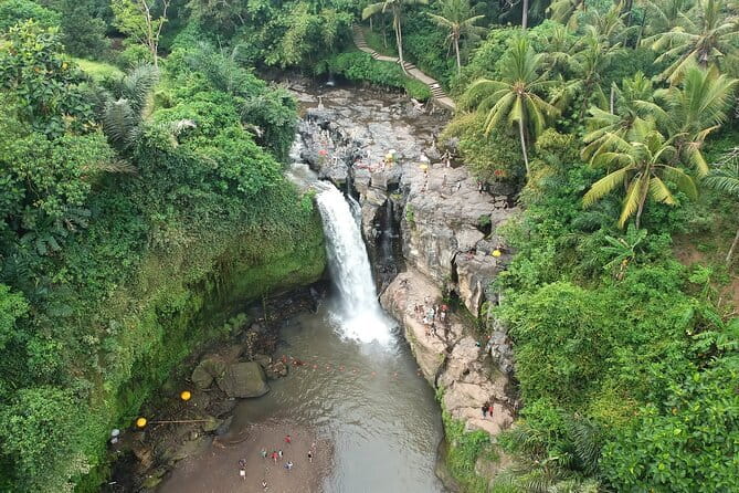 Bali Full-Day Tours : Waterfall and Ubud Destination Trip - Tegalalang Rice Terrace: Bali’s farming views