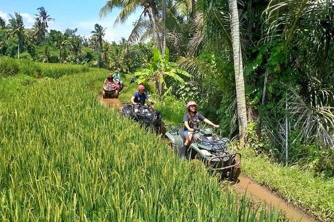 Bali Full-Day Tours : Waterfall and Ubud Destination Trip - Sacred Monkey Forest: two hours among macaques