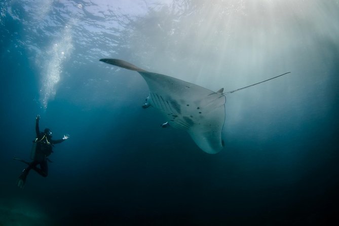 Bali Hai - Reef Cruise - Key points to know before booking