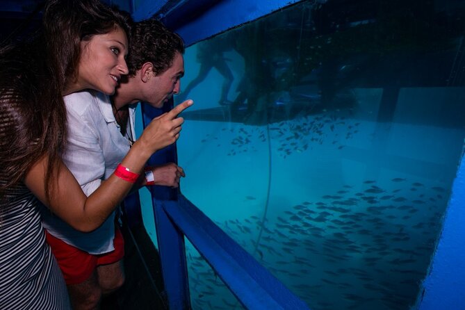 Bali Hai - Reef Cruise - Optional scuba and other water activities