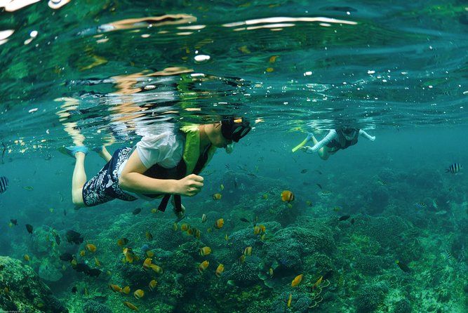 Bali Hai - Reef Cruise - A village tour and coral restoration