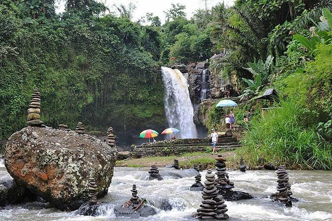 Bali Highlight Private Packages Tours 3 Days - The private driver makes the difference