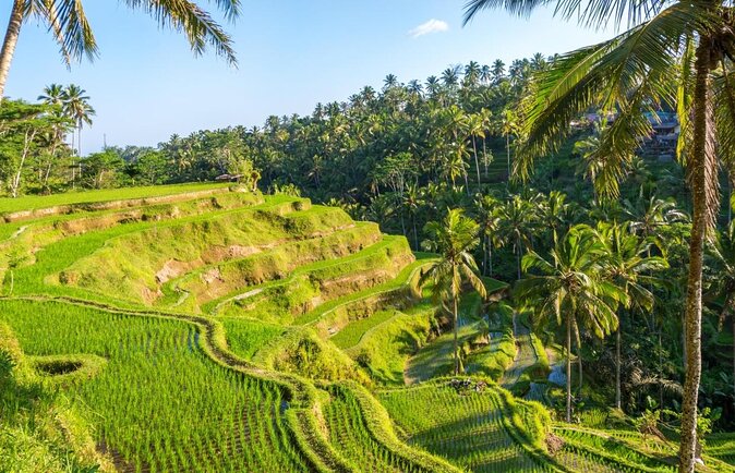 Bali Hindu temple, Rice terrace, Waterfall -All Inclusive - Key Things to Know Before You Book