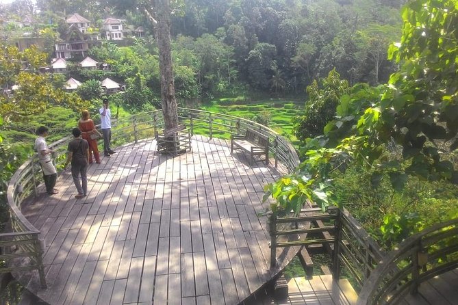Bali Hindu temple, Rice terrace, Waterfall -All Inclusive - Optional Art Villages and Batik