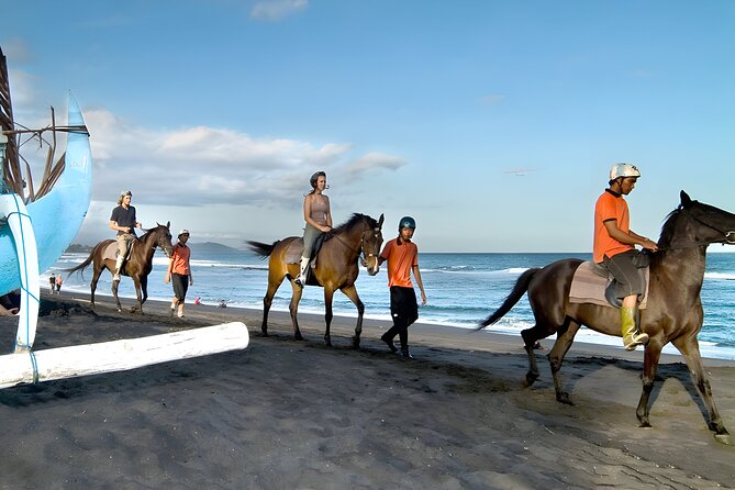 Bali Horse Riding Activity and Full-Day Trip in Ubud - What the $120 price buys you