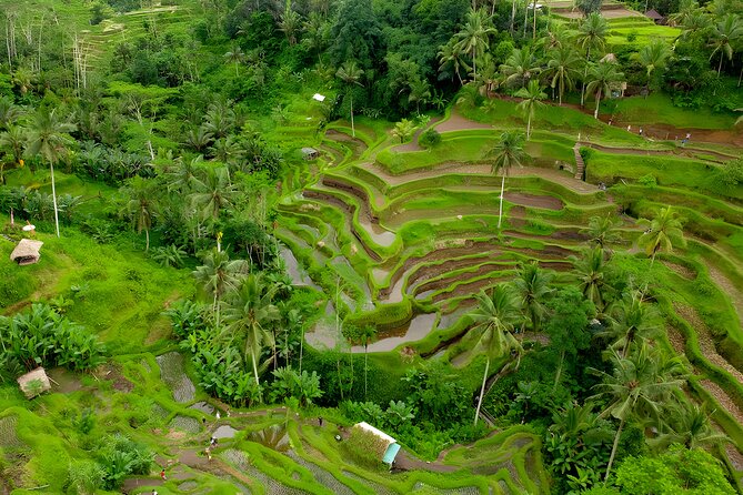 Bali Horse Riding Activity and Full-Day Trip in Ubud - Starting at Saba Beach on horseback