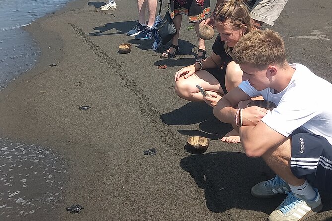 Bali Horse Riding and Turtle Release at Saba Beach - What the private vehicle adds