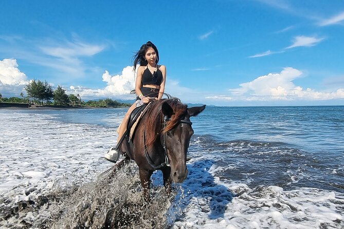Bali Horse Riding and Turtle Release at Saba Beach - Who should book this experience?
