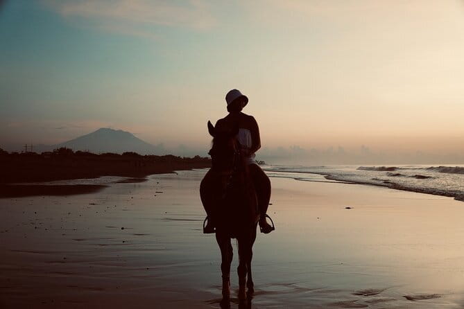 Bali Horse Riding Sanur Beach include Transport - What the one-hour duration really means