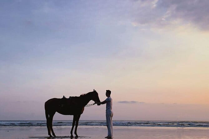 Bali Horse Riding Sanur Beach include Transport - The beach reality check