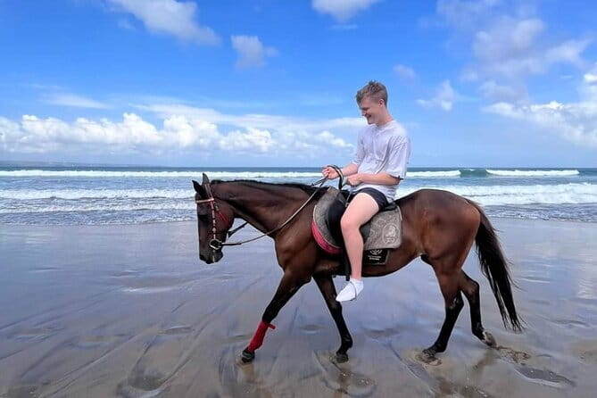 Bali Horse Riding Seminyak Beach Experience Private Transport - What the horse handling means for first-time riders