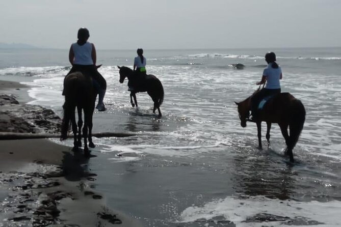 Bali Horse Riding Trot & Canter Saba Beach with Local Temple - Pickup, the meeting point, and the Jimbaran question