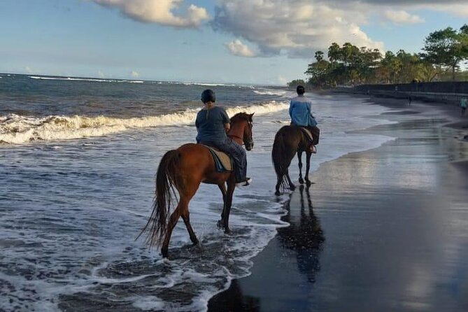 Bali Horse Riding Trot & Canter Saba Beach with Local Temple - The local temple claim needs clarification