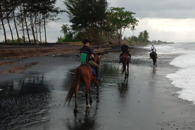 Bali Horse Riding Trot & Canter Saba Beach with Local Temple - What is included for $39