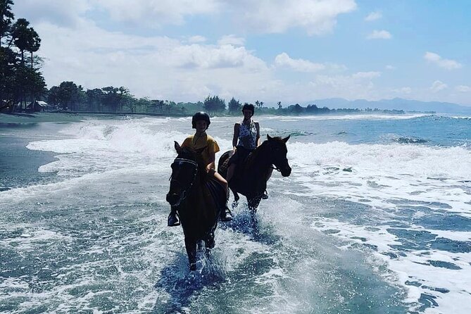 Bali Horse Riding Trot & Canter Saba Beach with Local Temple - Friendly horses and support for beginners